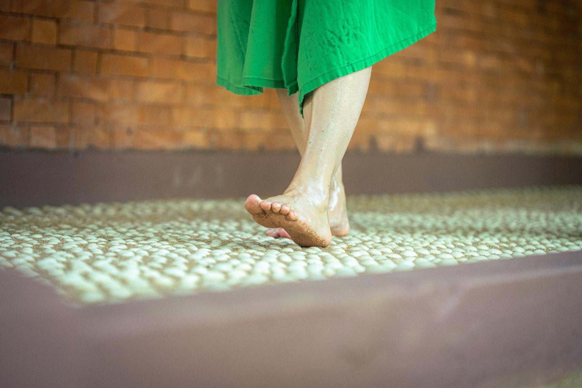 Siddhalepa Ayurveda Resort - All Meals, Ayurveda Treatment And Yoga Wadduwa Luaran gambar