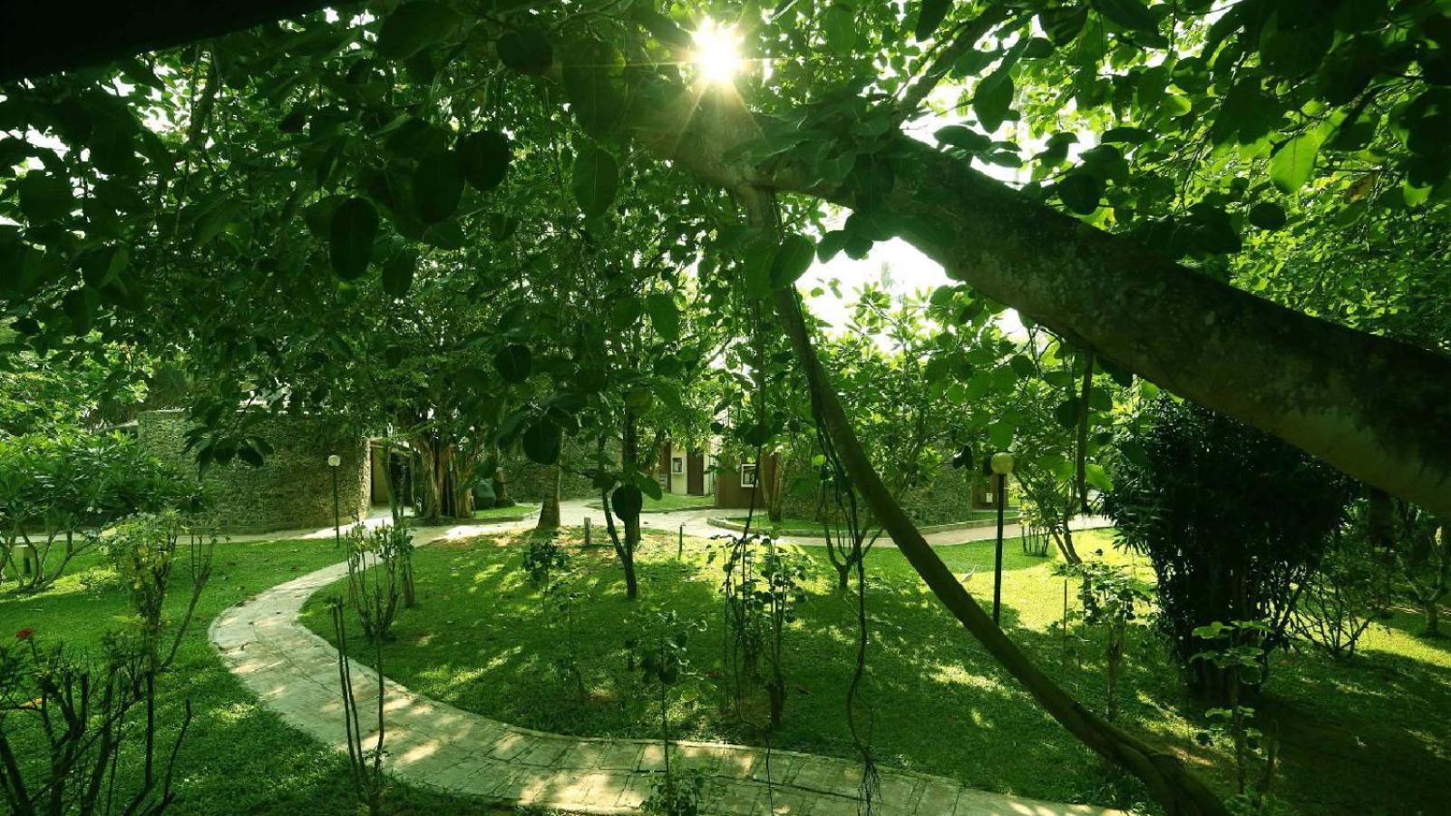 Siddhalepa Ayurveda Resort - All Meals, Ayurveda Treatment And Yoga Wadduwa Luaran gambar