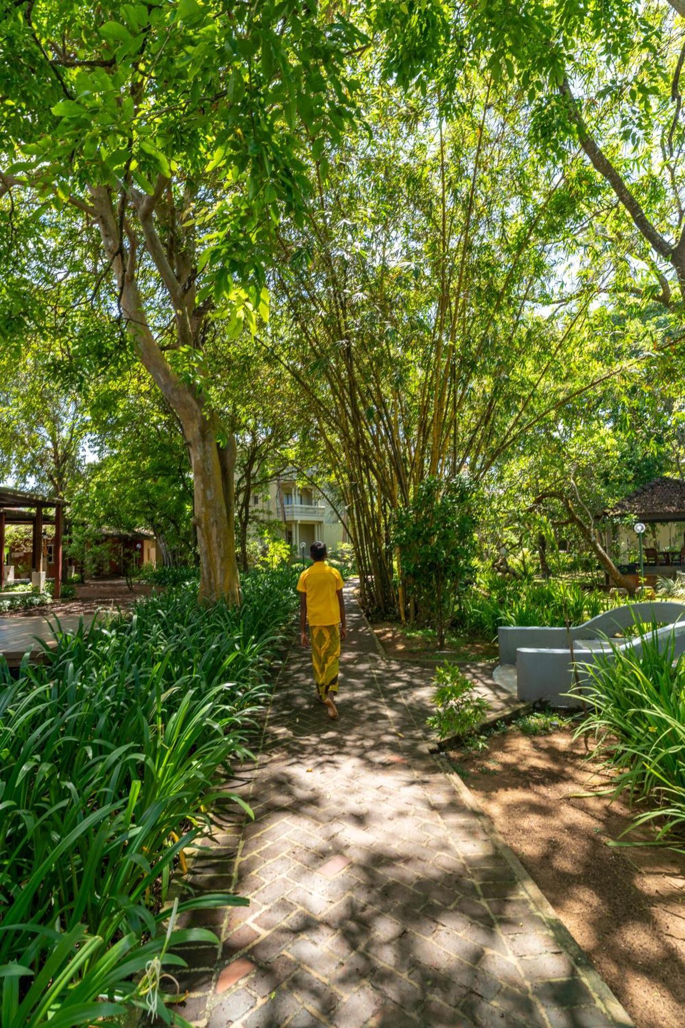 Siddhalepa Ayurveda Resort - All Meals, Ayurveda Treatment And Yoga Wadduwa Luaran gambar
